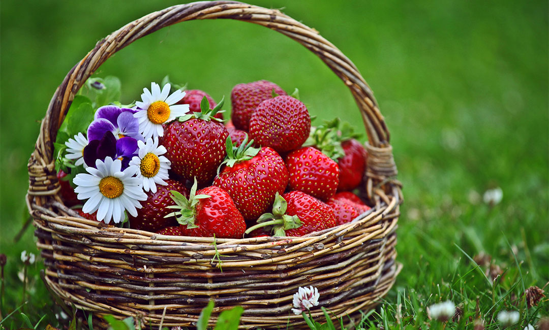 临沧点呀点水果电商APP开发案例